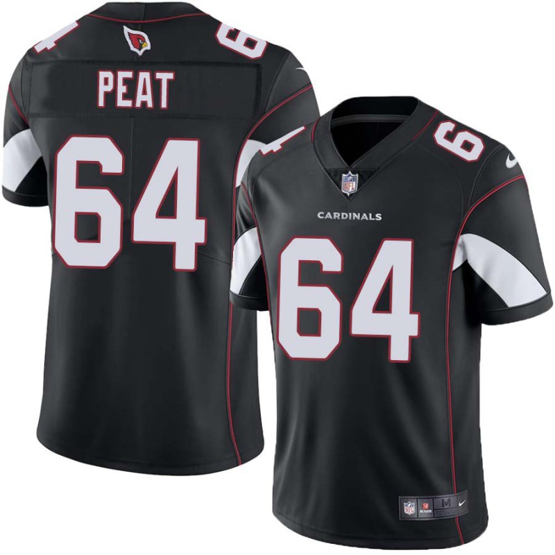 Cardinals #64 Todd Peat Stitched Black Jersey