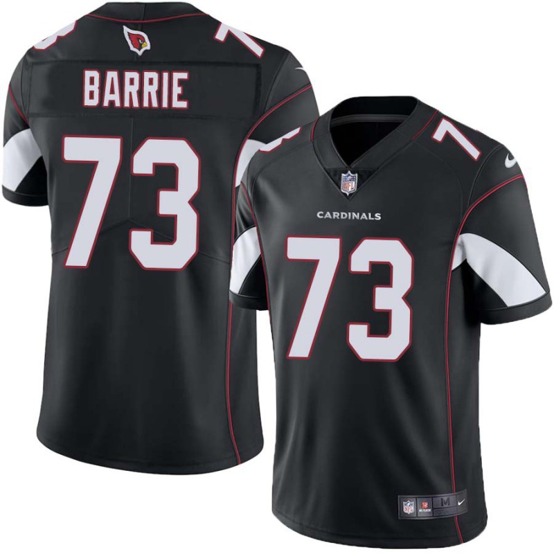 Cardinals #73 Sebastian Barrie Stitched Black Jersey