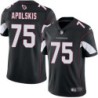 Cardinals #75 Ray Apolskis Stitched Black Jersey