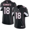 Cardinals #18 Elmer Schwartz Stitched Black Jersey