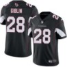 Cardinals #28 Robert Giblin Stitched Black Jersey